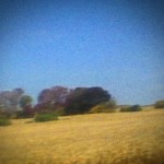 SUN KIL MOON - Benji